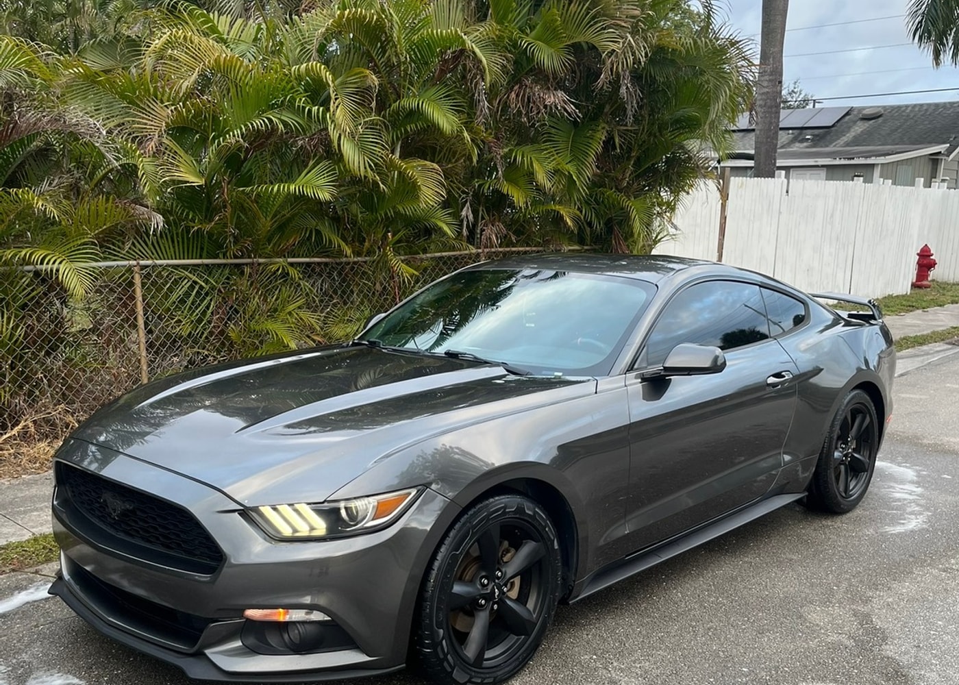 Gray Ford Mustang detailed by J's Car Detailing